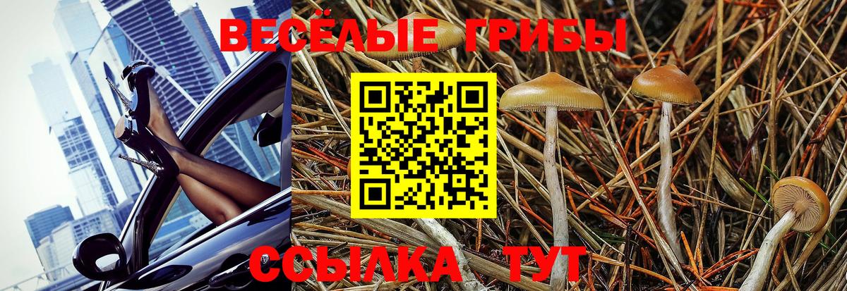 Псилоцибиновые грибы мухоморы Боровичи