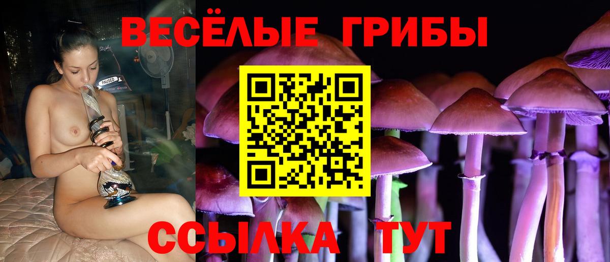 Псилоцибиновые грибы Psilocybine cubensis  купить наркотики цена  Псилоцибиновые грибы MAGIC MUSHROOMS  Боровичи  Вход с VPN 
